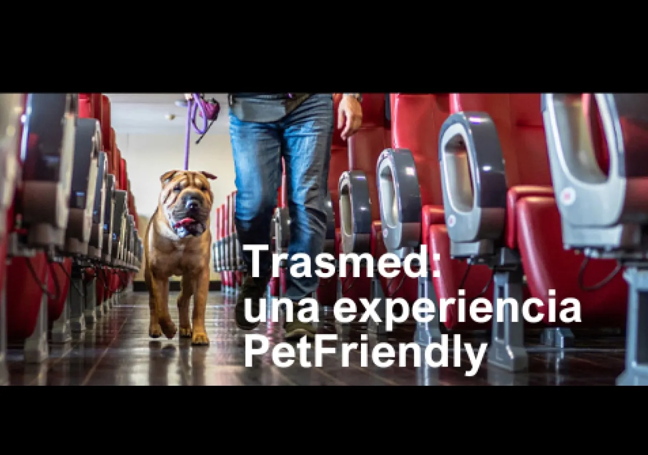 Viaja con tu Mascota en Trasmed: Una Experiencia PetFriendly